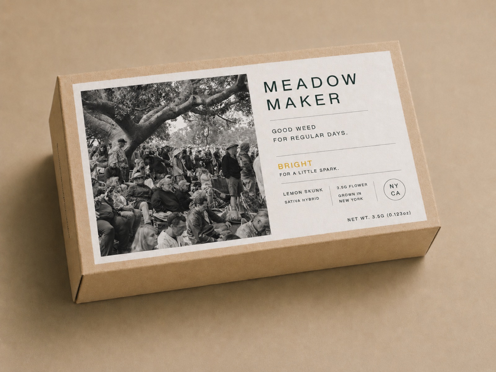 Meadow Maker box — gathering under an old tree